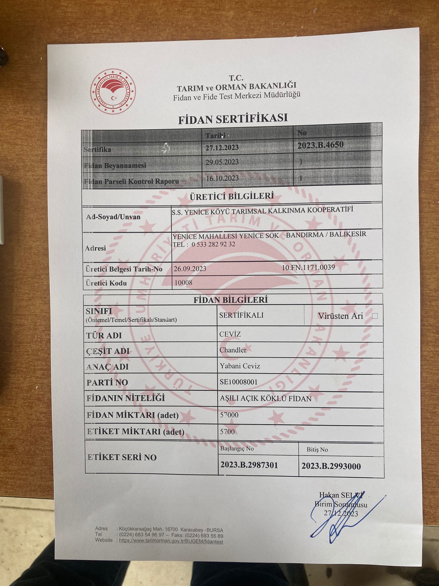 Sahil yenice fidancılık sertifika 1